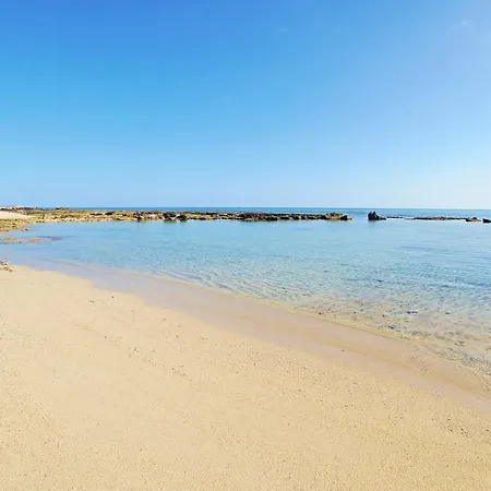 Camellia * Agia Napa