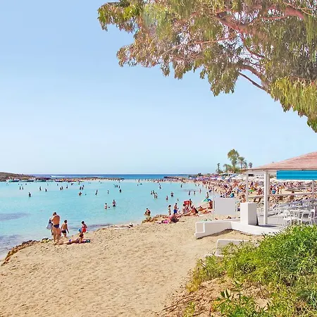 Camellia * Agia Napa